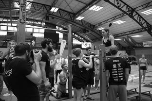 MILANSPORT入口-“2025世界游泳锦标赛：水上芭蕾精彩纷呈，艺术之美与竞技并行”