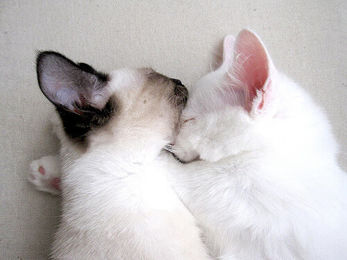 米兰登录入口-中国足球国家队总结战术失误案例强化应对策略,足球重大失误