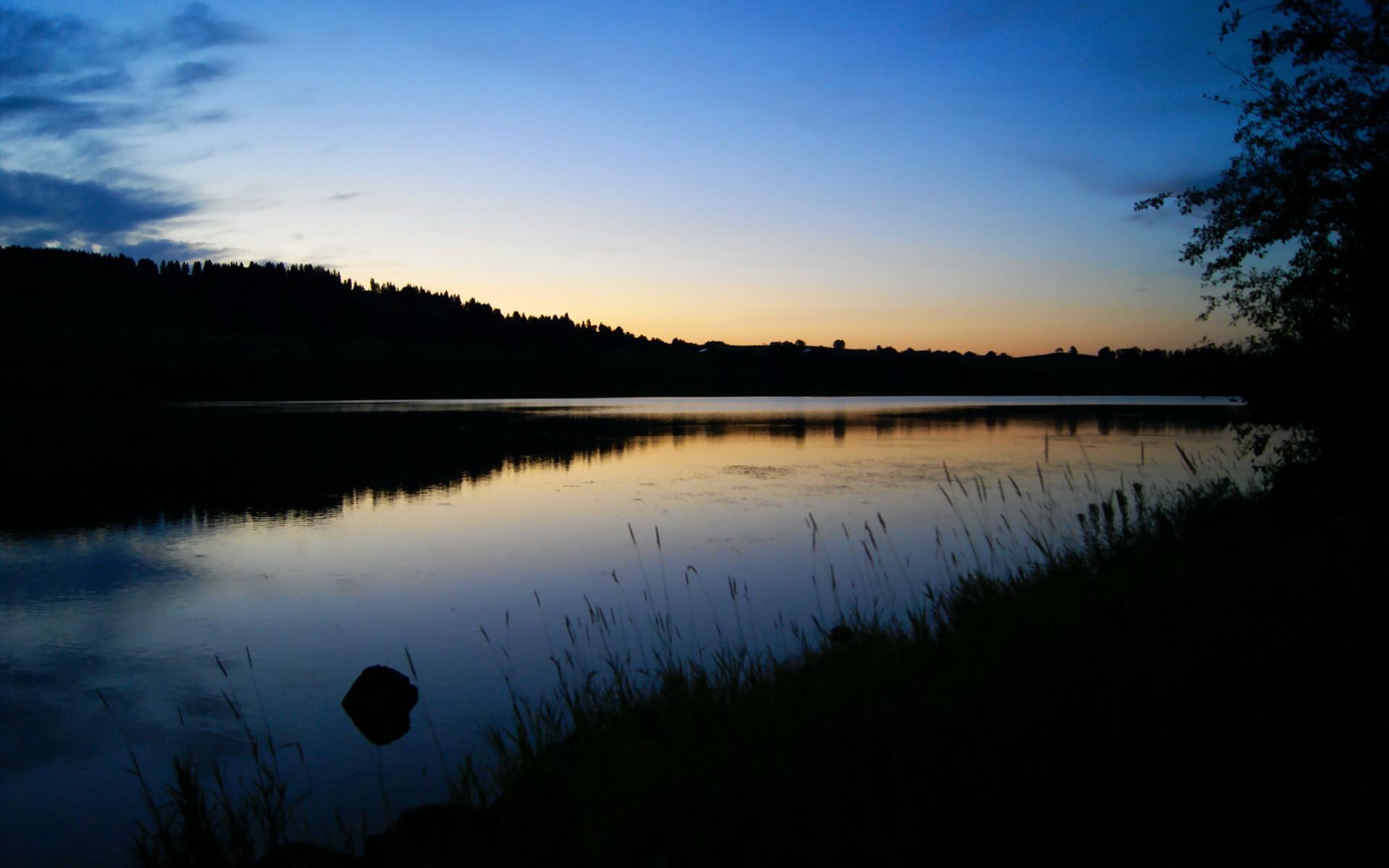 MILANSPORT下载-仰泳末段加速吉尔吉斯斯坦抢占先机,仰泳2017