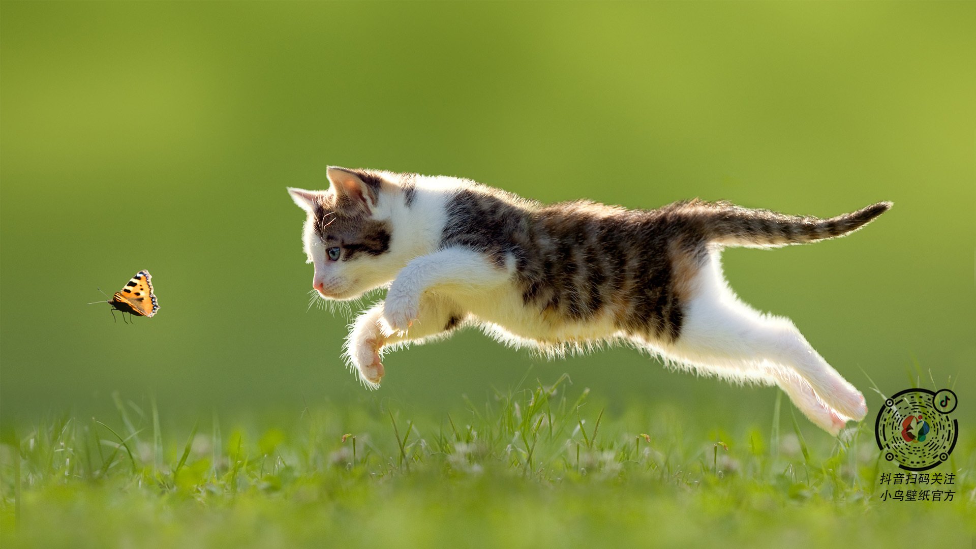 MILANSPORT下载-叶夫根尼娅·奇库诺娃打破个人最佳，创造新纪录，叶夫根尼娅卡纳耶娃