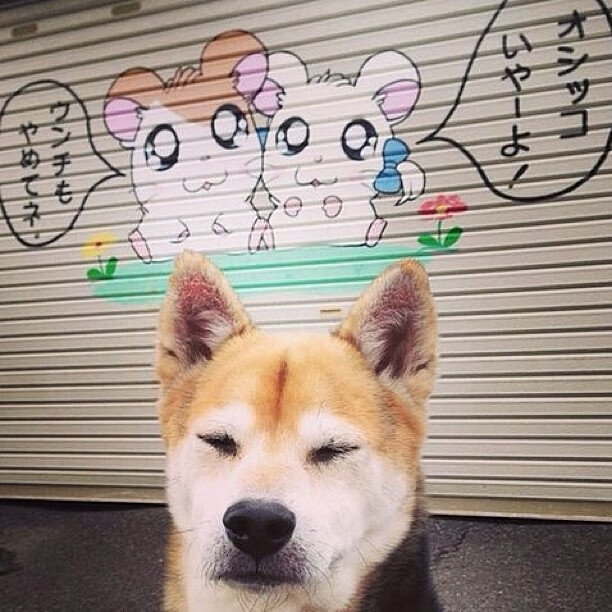 米兰体育-国家藤球队通报国际交流计划正式启动,中国男子藤球国家队队长